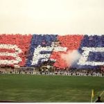 Curva Bfc