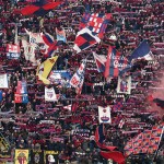 Tifosi