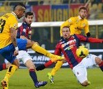 vidal