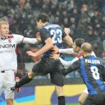 ranocchia