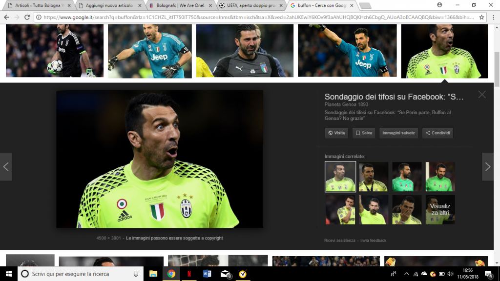 buffon