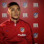 kranevitterweb