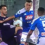 zielinski-castrovilli