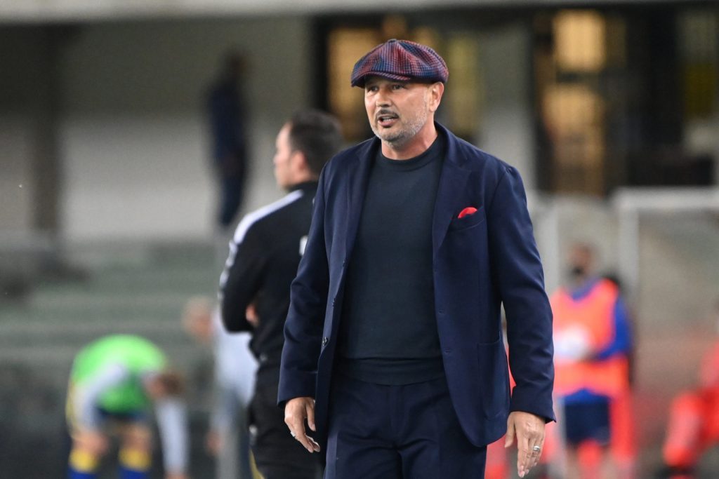 Mihajlovic