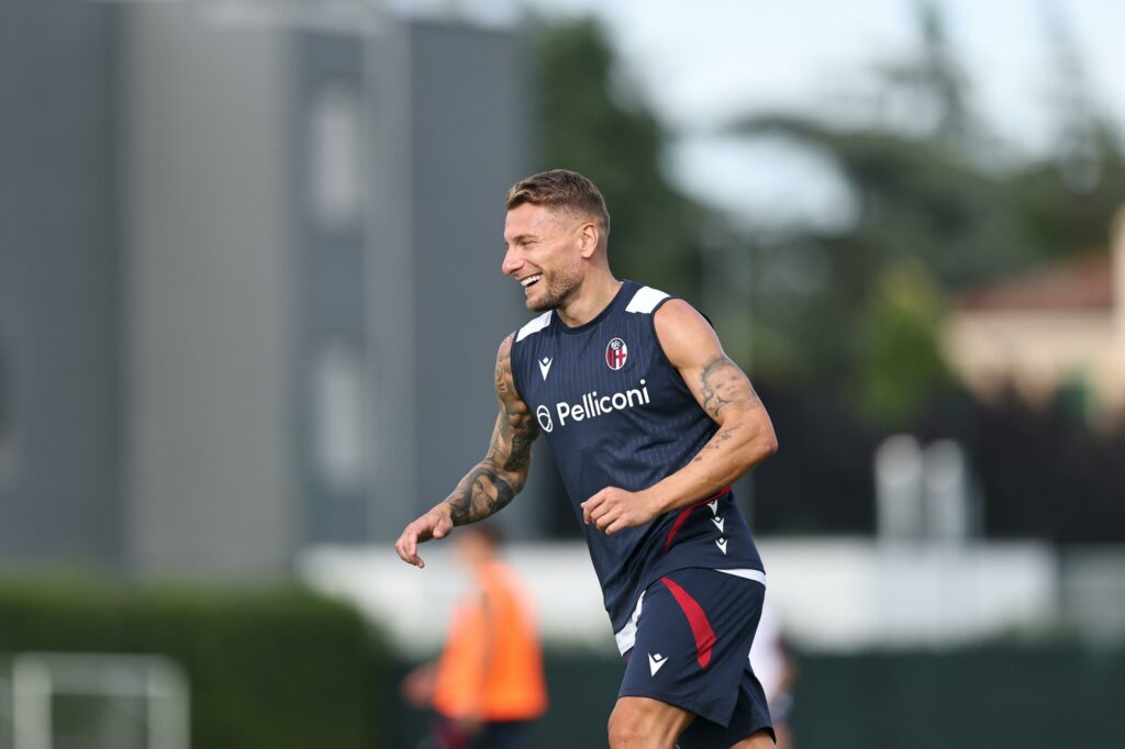 Alleamento Bfc4 Immobile