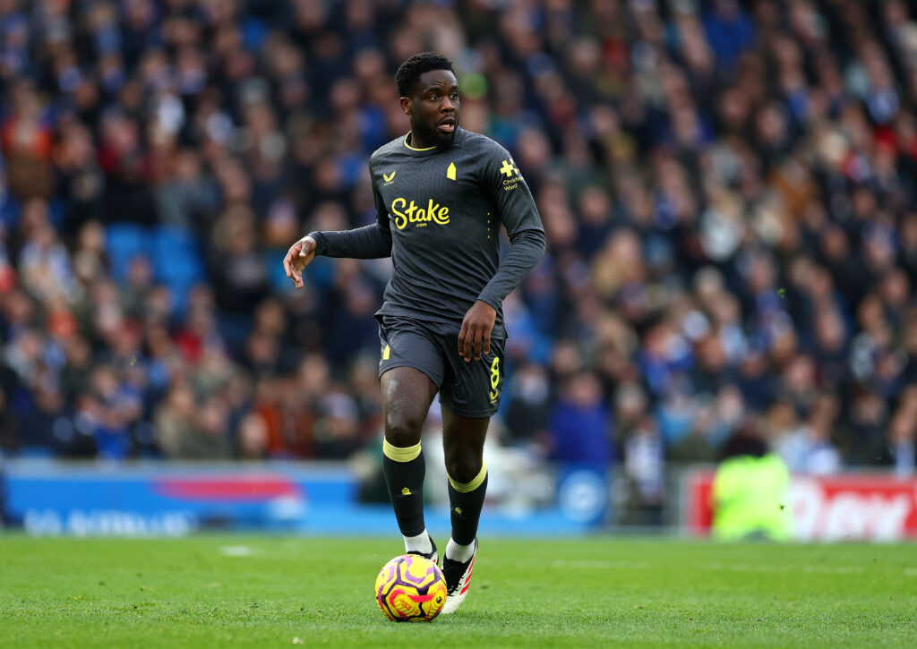 Brighton &amp; Hove Albion FC v Everton FC - Premier League